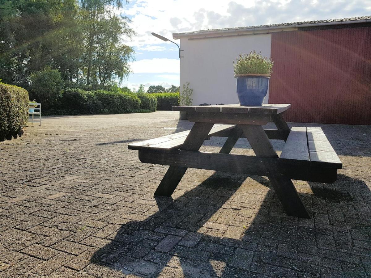 Ferienbauernhof De Slaaphoeve Emlichheim Εξωτερικό φωτογραφία