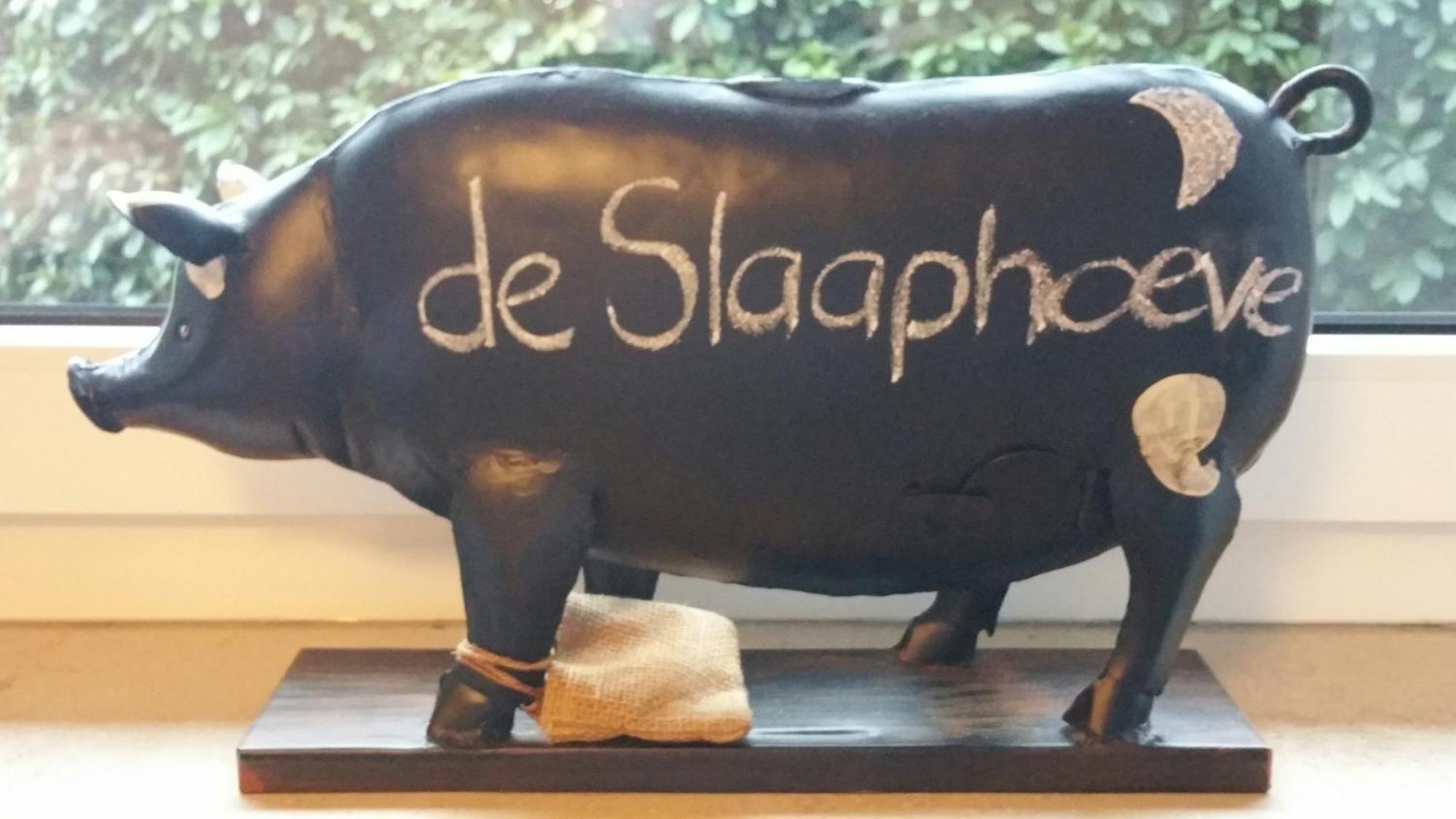 Ferienbauernhof De Slaaphoeve Emlichheim Εξωτερικό φωτογραφία